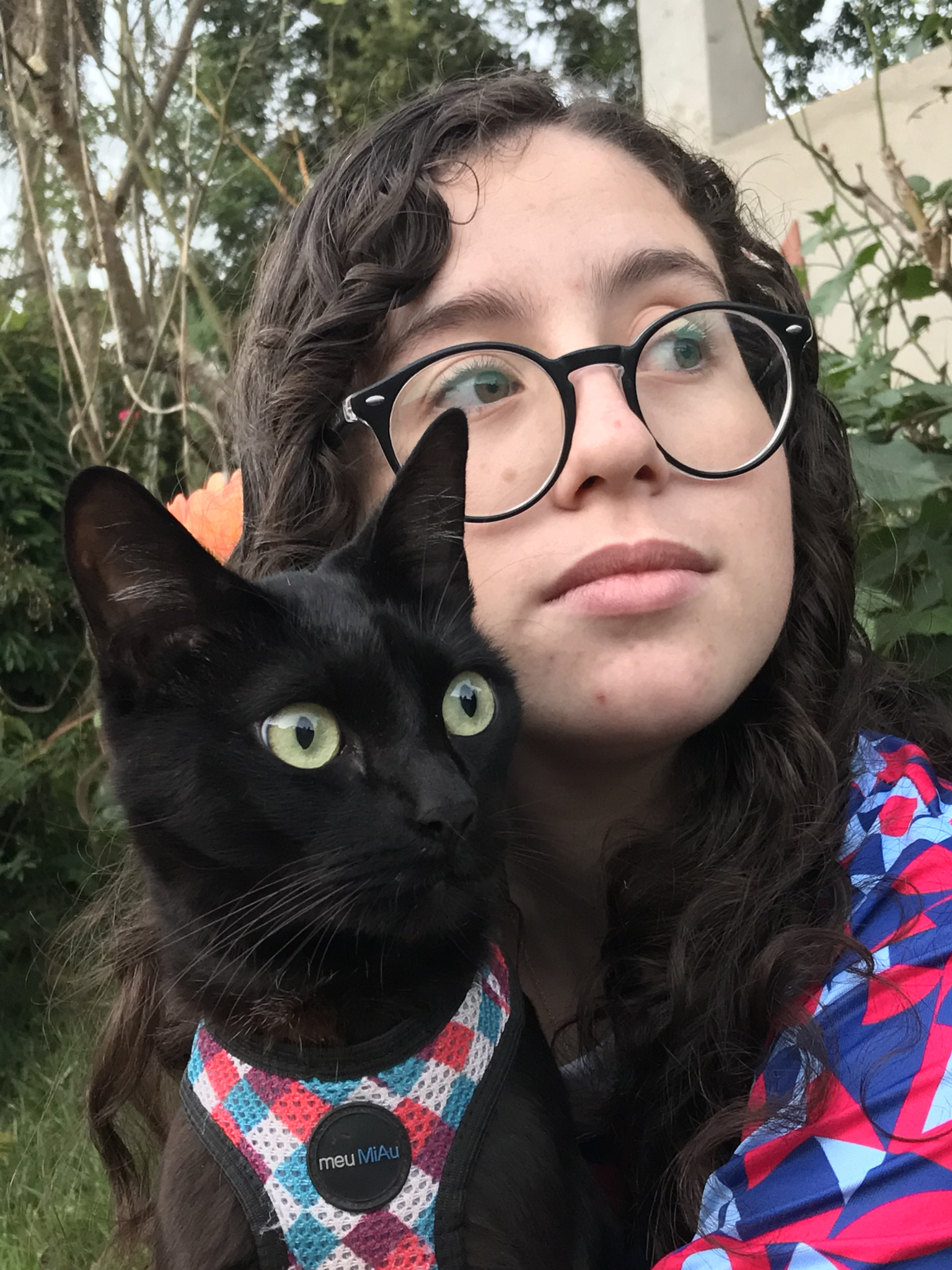Logan, gatinho preto, ao lado de sua tutora